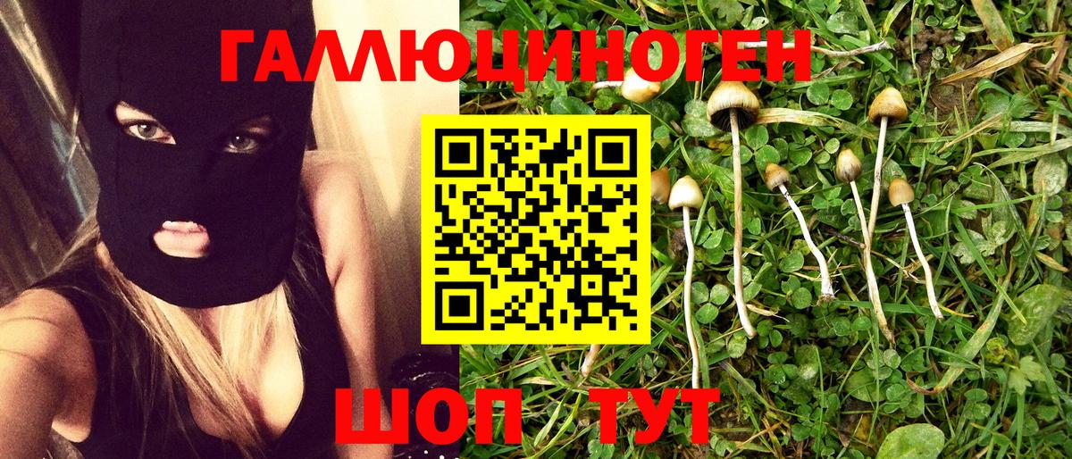 Псилоцибиновые грибы мухоморы Дубна